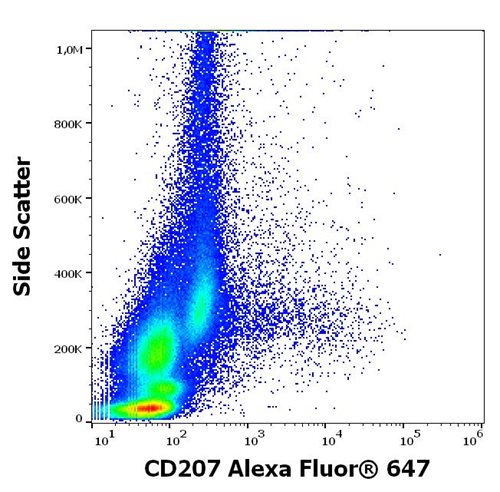 Anti-Hu CD207 (Clone 2G3) Alexa Fluor 647